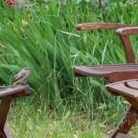 Rouge queue sur chaise par Hugues Joudrain